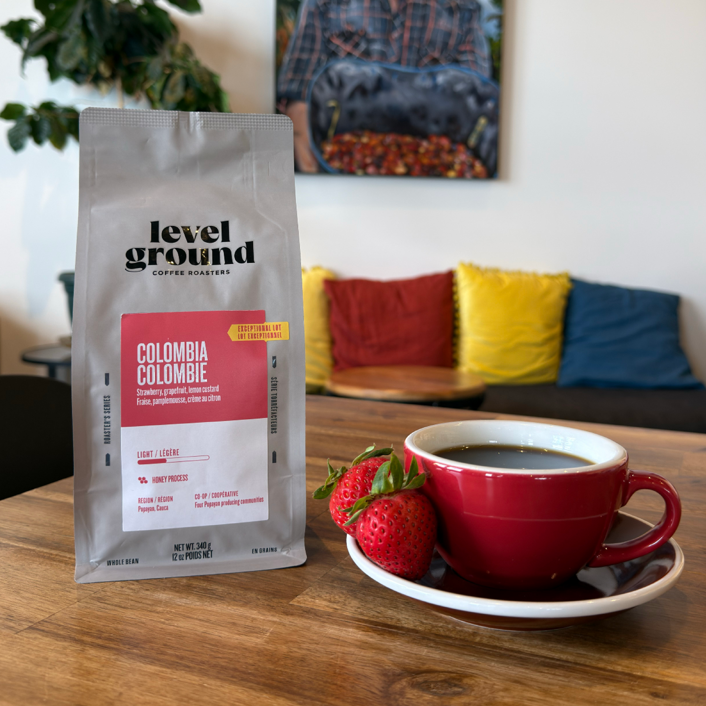 
                  
                    Honey Washed Colombia
                  
                